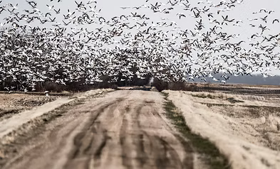 North Texas Cast & Blast Waterfowl & Fishing Day Trip