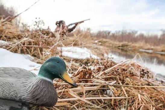All-Inclusive Louisiana Cast & Blast Waterfowl Hunting Trips (Lousiana- Black Lake Region)