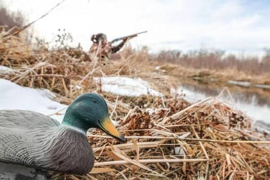 All-Inclusive Louisiana Cast & Blast Waterfowl Hunting Trips (Lousiana- Black Lake Region)