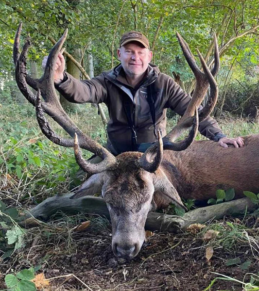 Free-Range Red Stag (Norfolk, England)